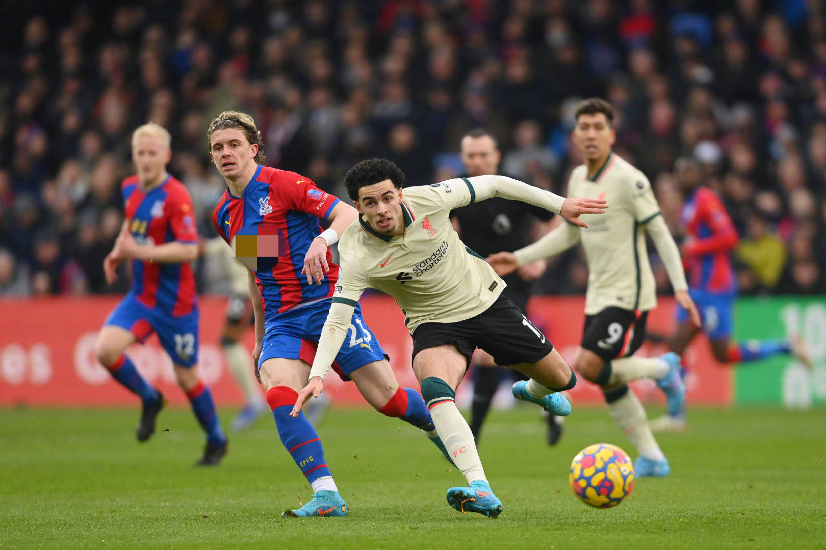 的极大兴趣 的极大兴趣