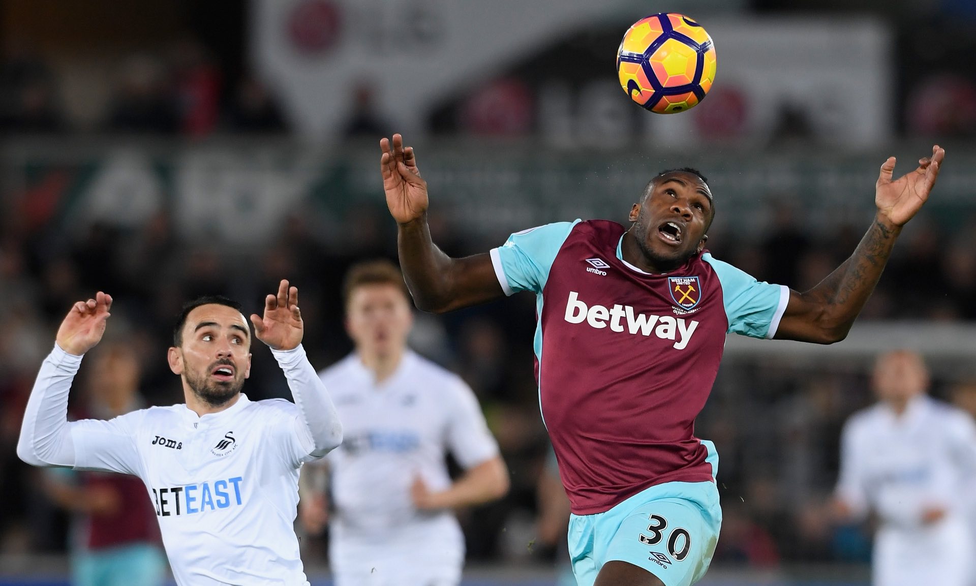 雾天气的影 雾天气的影